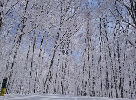 3県にまたがる「雪国観光圏」で地域ブランディングを確立