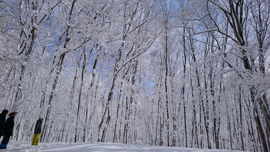 3県にまたがる「雪国観光圏」で地域ブランディングを確立