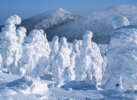 東北の「樹氷」を世界に売り出す！　地元新聞社が連携したプロジェクト