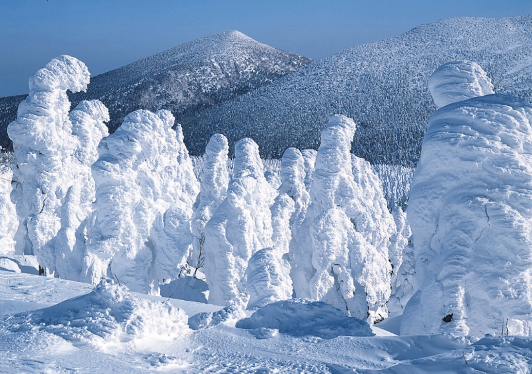 東北の「樹氷」を世界に売り出す！　地元新聞社が連携したプロジェクト