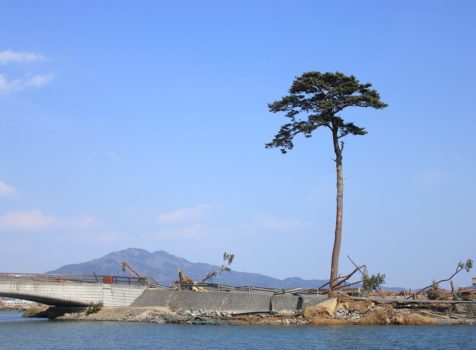 陸前高田では、学びがテーマの「震災復興視察ツアー」を外国人に実施中