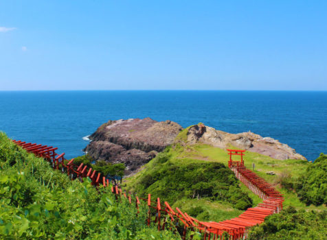 長門市の美しい海辺に赤い鳥居が並ぶ鮮烈な写真、元乃隅稲成神社が大ブレイク